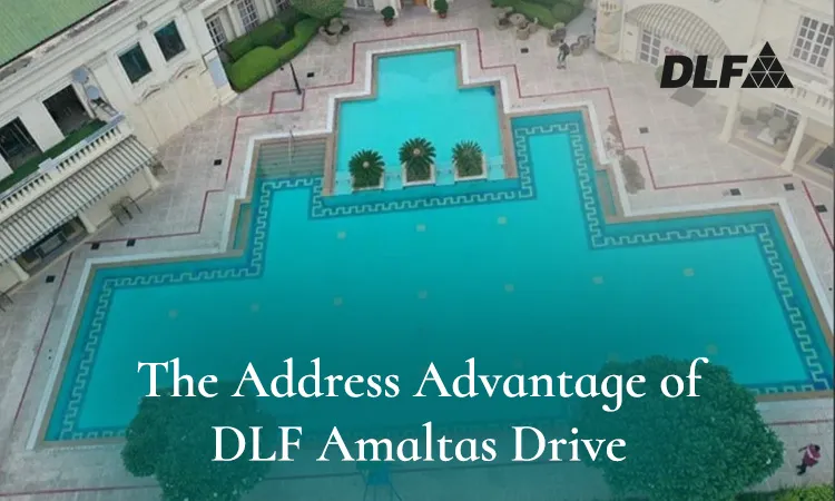 Aerial view of DLF Amaltas Drive's ornate resort-style swimming pool with intricate geometric tile borders, potted palm accents, and colonnaded clubhouse building, overlaid with DLF logo and text 
