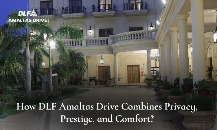 DLF Amaltas Drive colonial-style residential facade at night with palm trees, pillared entrance, and blog title overlay on privacy, prestige, and comfort.