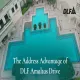 Aerial view of DLF Amaltas Drive's ornate resort-style swimming pool with intricate geometric tile borders, potted palm accents, and colonnaded clubhouse building, overlaid with DLF logo and text "The Address Advantage of DLF Amaltas Drive"