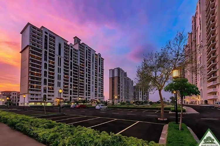Multiple modern high-rise residential towers of DLF New Town Heights are visible under a dramatic sunset sky painted with pink, purple, and blue hues, with a foreground showing a parking area, trees, and street lamps.